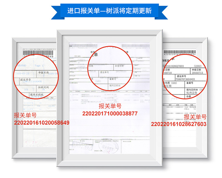  南京樹(shù)派光觸媒專業(yè)室內(nèi)空氣檢測(cè)治理除甲醛